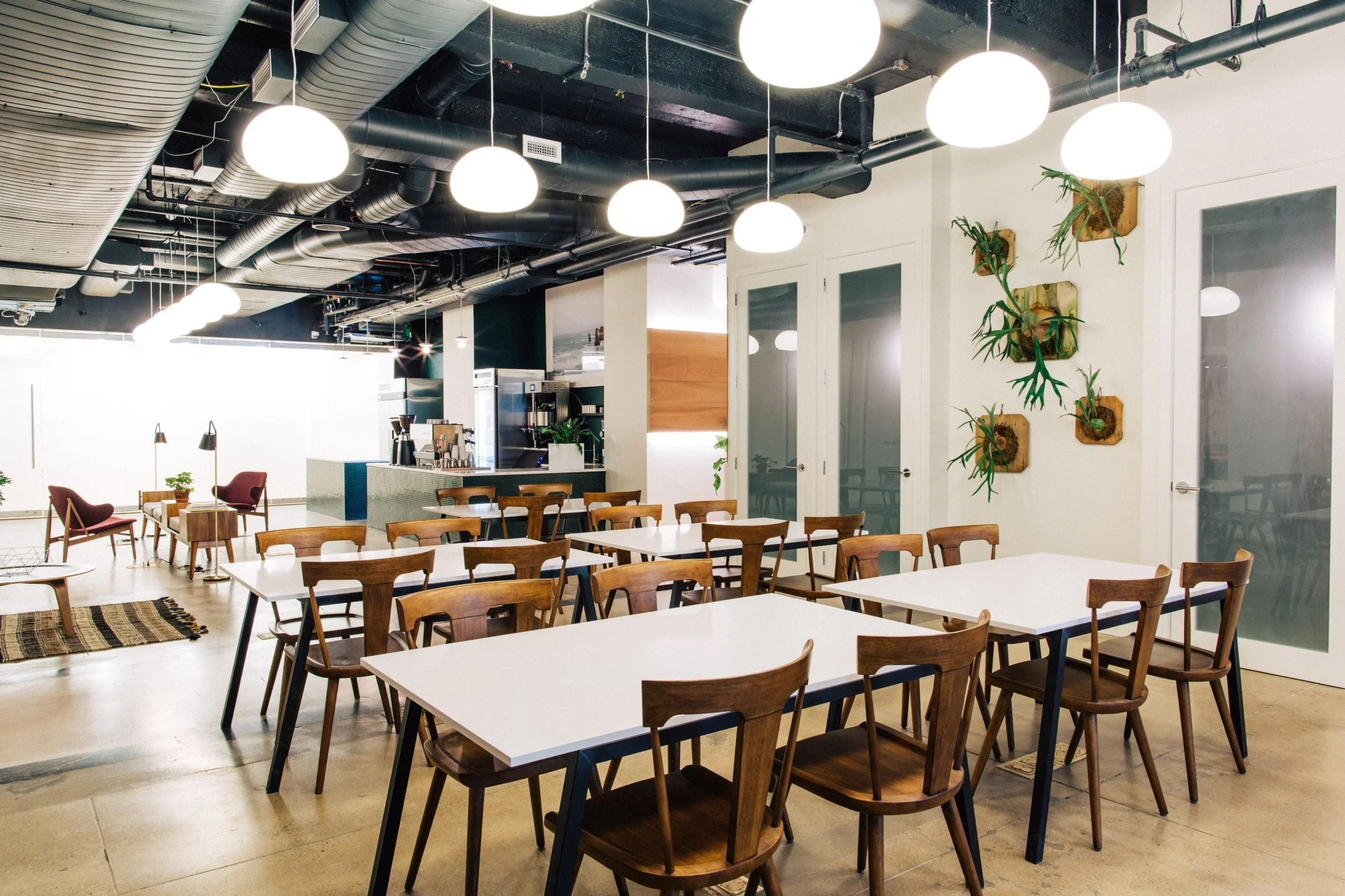 Primary Co-Working I