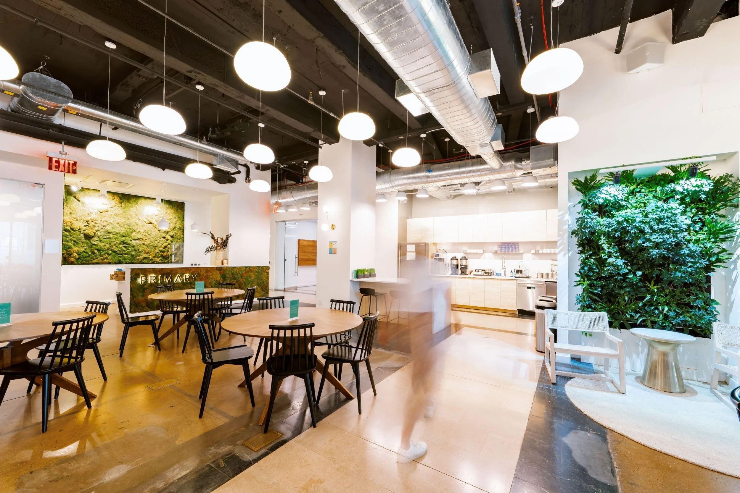 Primary Co-Working I