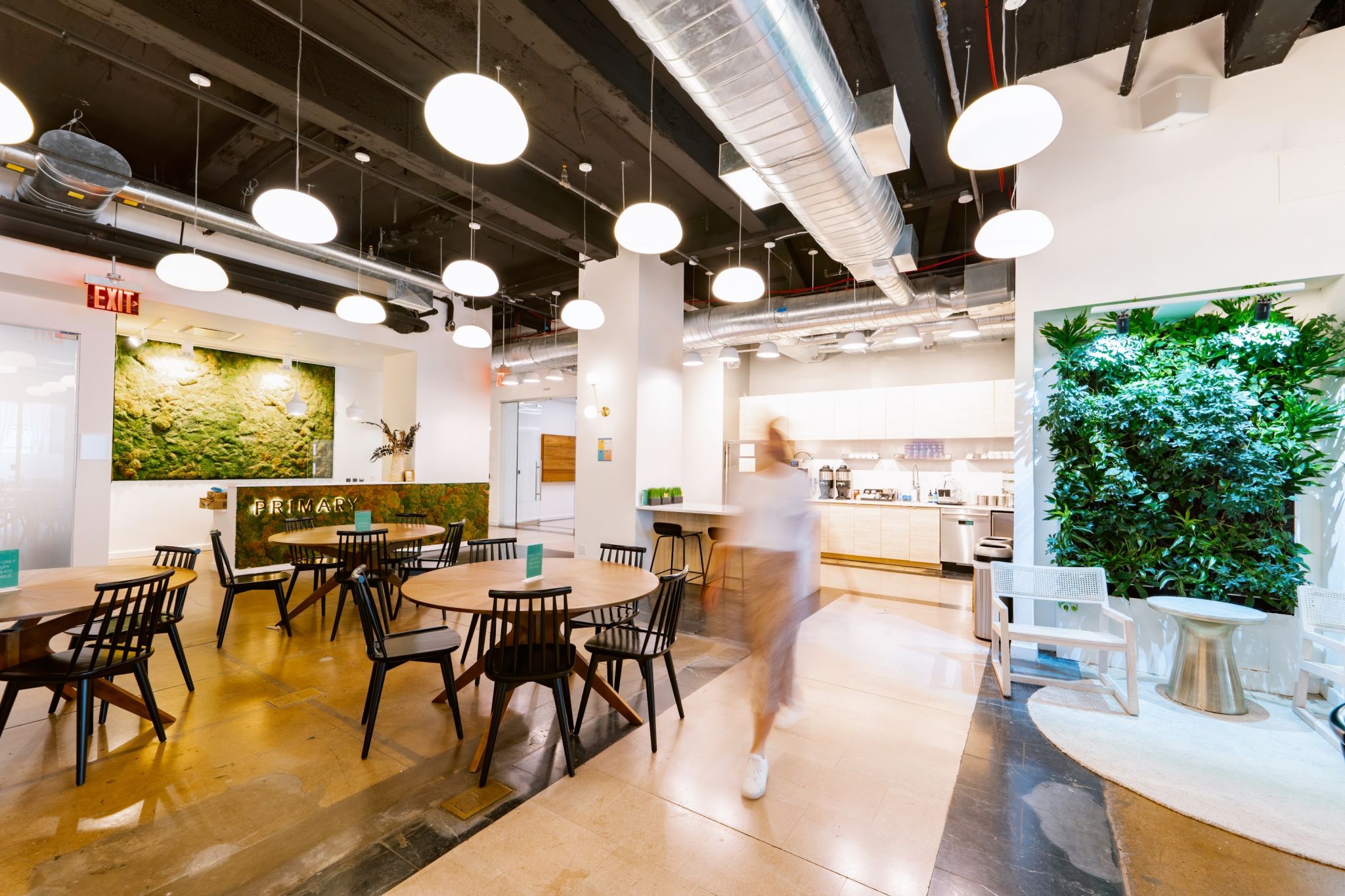 Primary Co-Working I