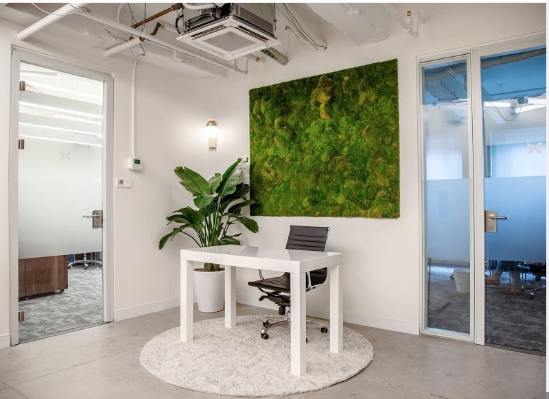 Primary Co-working II